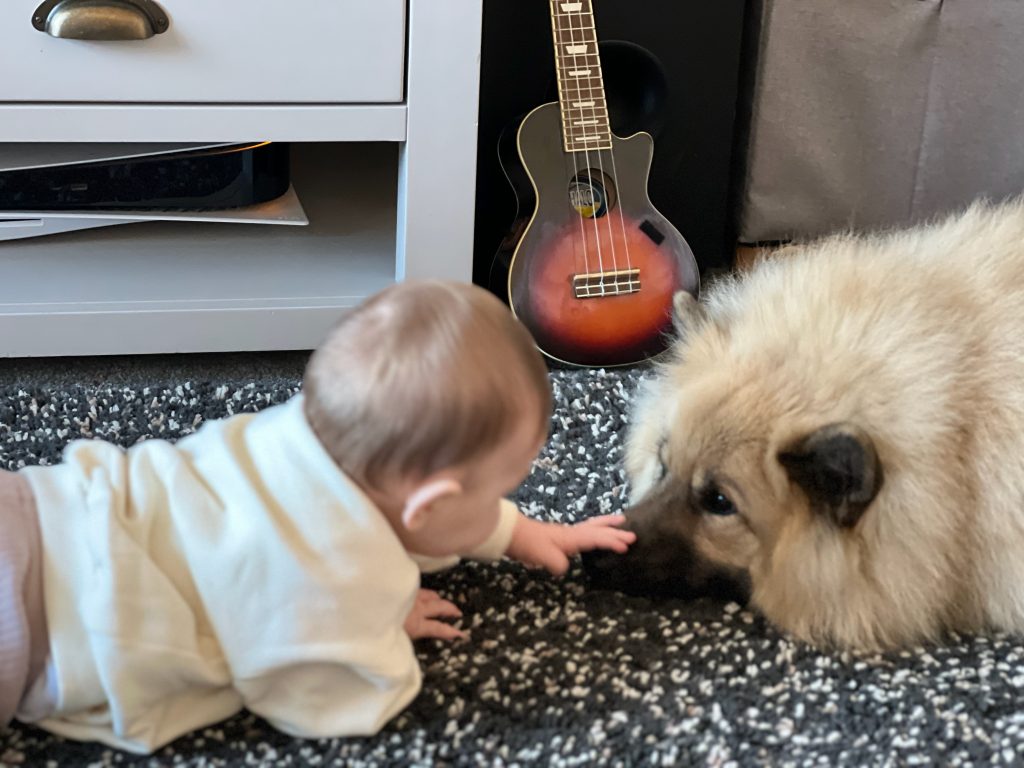 Pet Friends